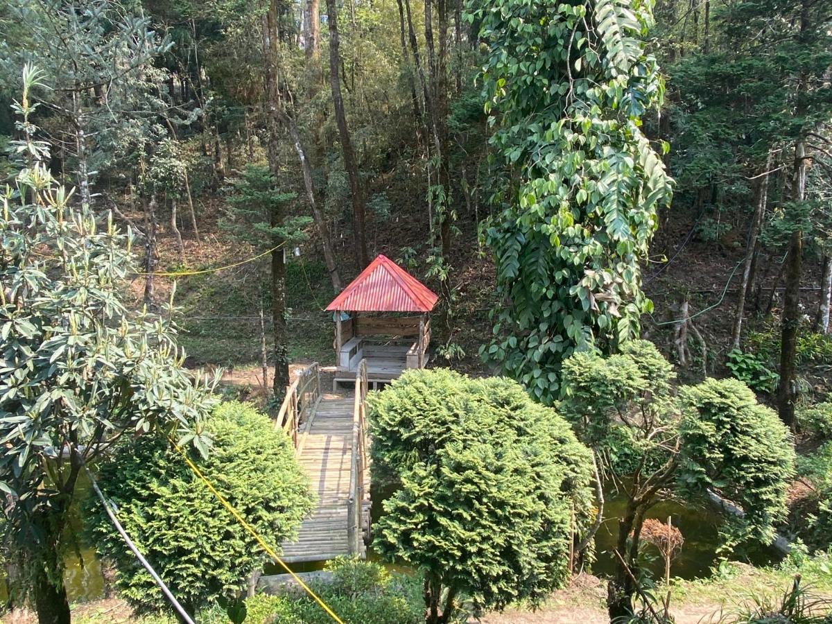 Bloomfield Farmhouse And Eco-Resort Νταρτζίλινγκ Εξωτερικό φωτογραφία