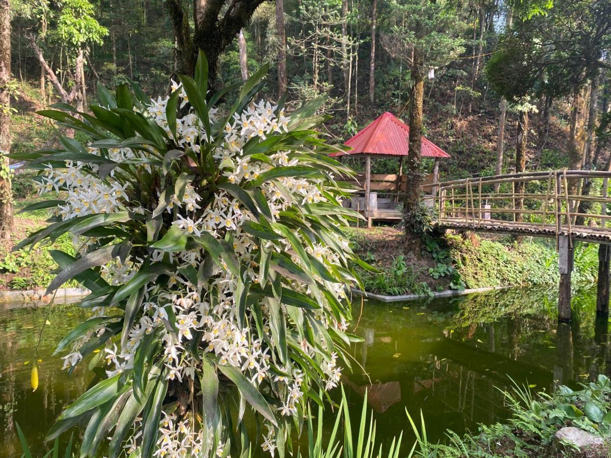 Bloomfield Farmhouse And Eco-Resort Νταρτζίλινγκ Εξωτερικό φωτογραφία